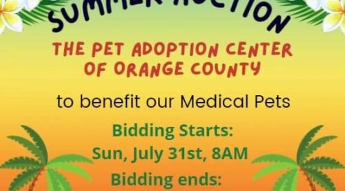 Summer Auction for Medical Care – The Pet Adoption Center of Orange County