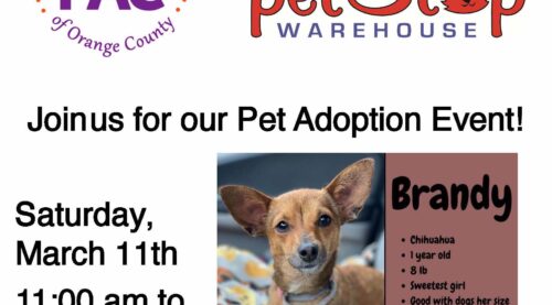 Local Pet Food Company, Bully Max®, To Host Pet Adoption Event to