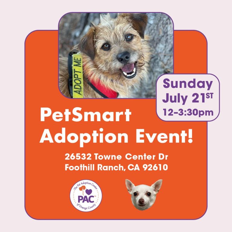 pet smart hours july 4