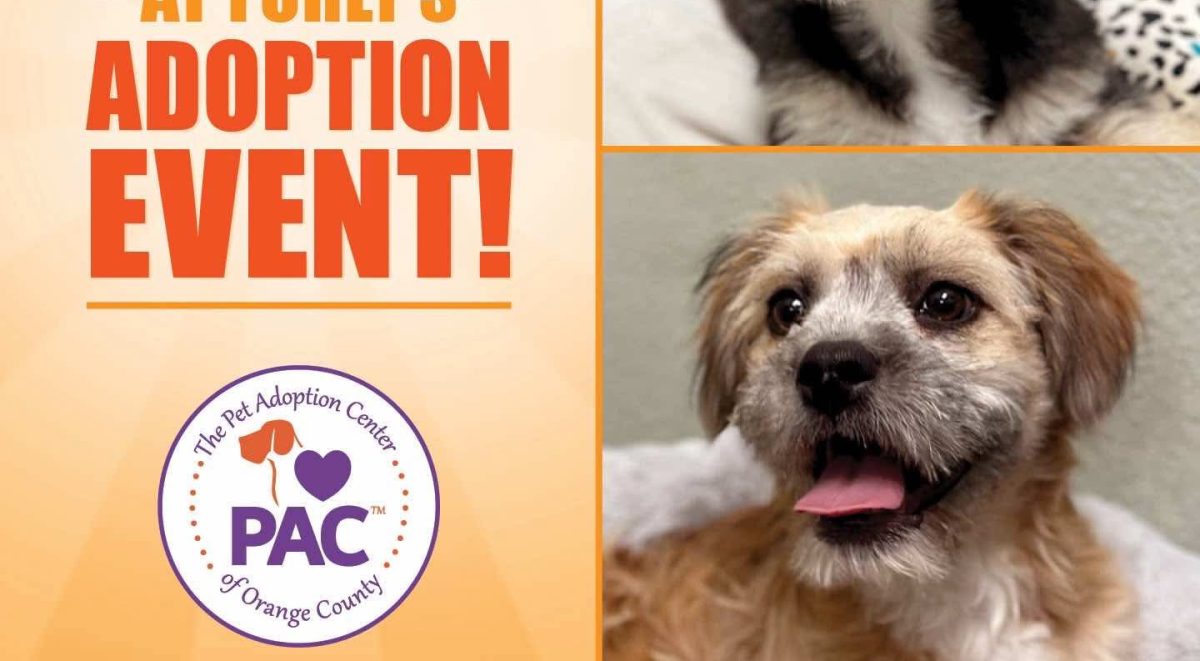 Adoption Event at Furly's in Lake Forest, Sat. May 24th