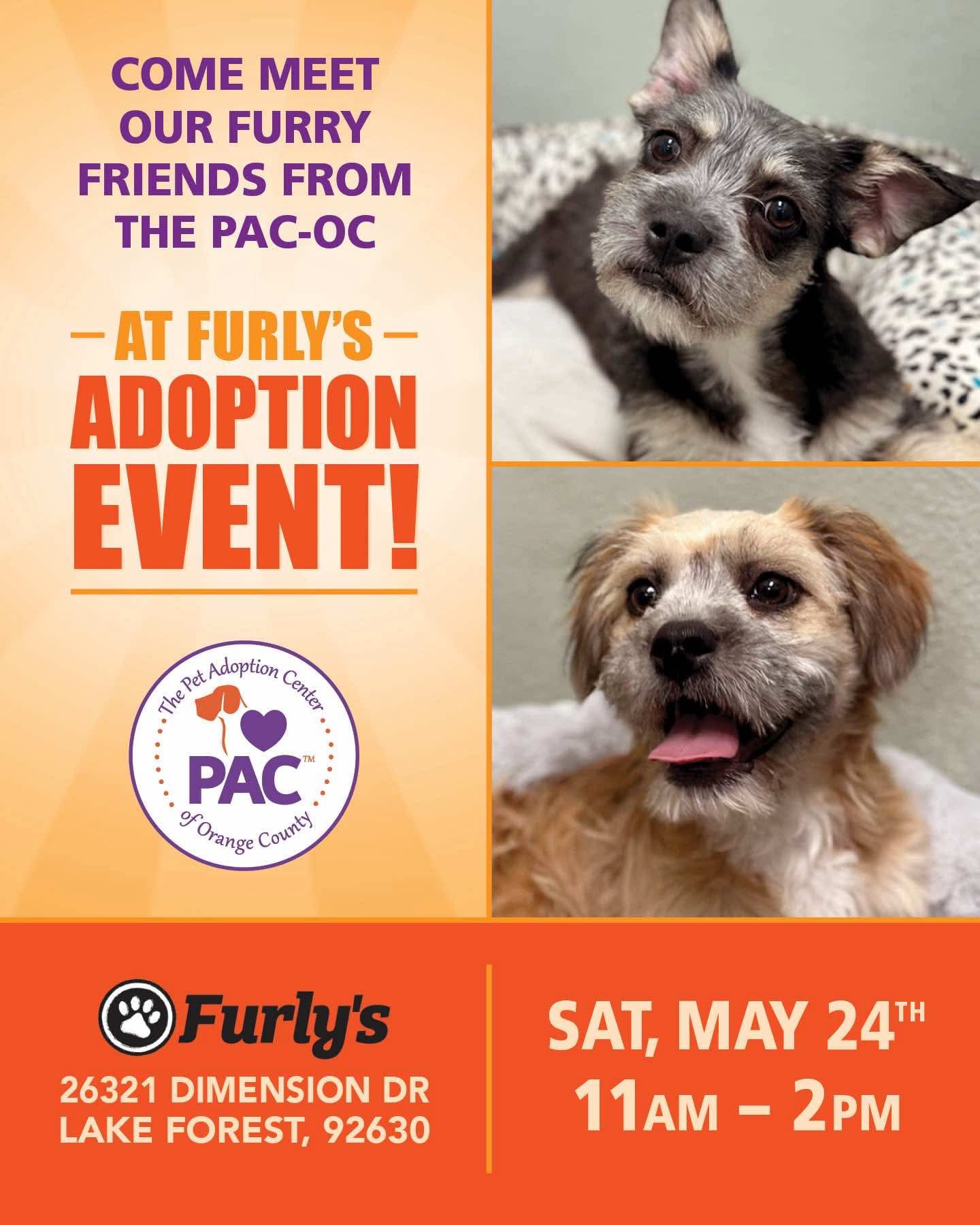 Adoption Event at Furly's in Lake Forest, Sat. May 24th