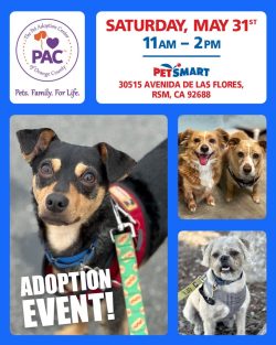 Adoption Event - PetSmart, May 31st