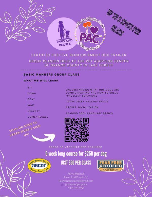 Group Training Classes Available Now!