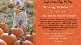 Fur-Ever Friends Fall Fest & Pumpkin Patch Event