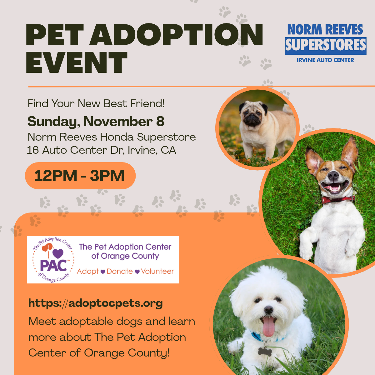 Pet Adoption Event – Norm Reeves Honda Irvine, Sunday, November 8, 2026 — Community in Norm Reeves Honda Irvine · Irvine, CA