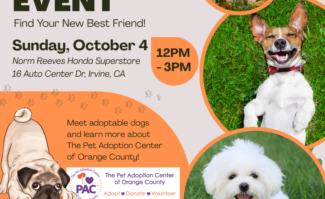 Norm Reeves Pet Adoption Event